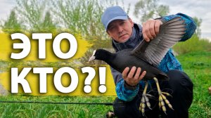 Патерностер в деле: Бешеный клёв карася и неожиданный гость на крючке!