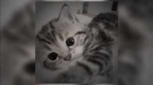 поболело и прошло 💘👉🥺👈💗
