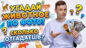 ОБУЧАЮЩИЙ КВИЗ ДЛЯ ДЕТЕЙ ПРО ЖИВОТНЫХ | УГАДАЙ ЖИВОТНОЕ ПО ФОТО