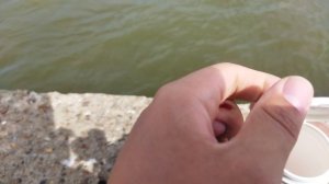 рыбалка на ультралайт