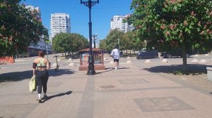 каштаны в  Новороссийске  немного замёрзли 
 жаль