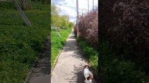 Идëм с речки, 1 часть 13.05.2026.