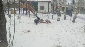 Карусель Прметея
