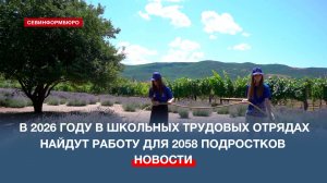 В 2026 году в школьных трудовых отрядах найдут работу для 2058 севастопольских подростков