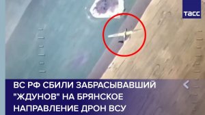 ВС РФ сбили забрасывавший «ждунов» на брянское направление дрон ВСУ