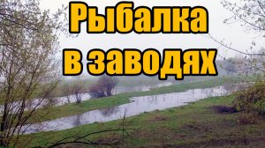 Рыбалка на разливах Томи.