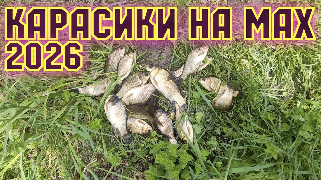 Караси на Поплавок