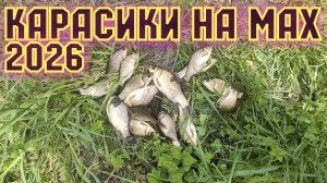 Караси на Поплавок