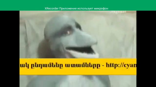 человек дельфин