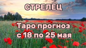 СТРЕЛЕЦ  💕 таро прогноз с 18 по 25 мая! #таро #любовь #раскладтаро