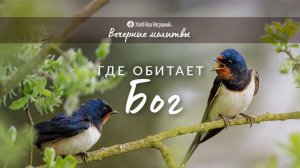 ГДЕ ОБИТАЕТ БОГ | Вечерние размышления