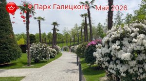 😍Что творится Парк Галицкого май 2026.