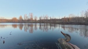 Весенняя охота 2026 года с 20 калибром