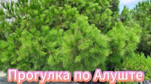 Алушта в лёгком ритме: шаг за шагом к морю