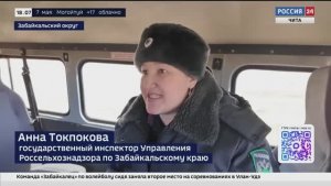 Превентивные меры являются надежным барьером для распространения опасных болезней среди животных