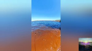 через Линлуловскую рощу веселой кампанией