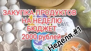 ЗАКУПКА ПРОДУКТОВ НА НЕДЕЛЮ, бюджет 2000