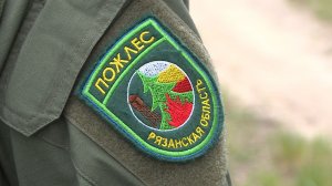 Работает «Пожлес»: как Рязанская область готовится к пожароопасному сезону