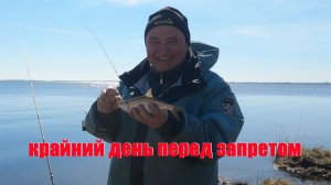 Рыбалка, крайний день перед запретом