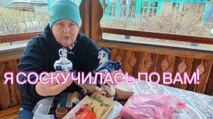 Подарки из Томска. Домашний ВЛОГ, про кота.
