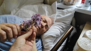 Насыщенный день // Веня обрадовался и сказал... // загадала желание //