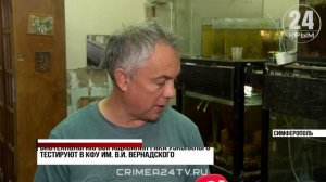 Крымские учёные разработали технологию экологичной очистки воды