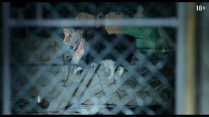 Одно целое ｜ Финальный трейлер ｜