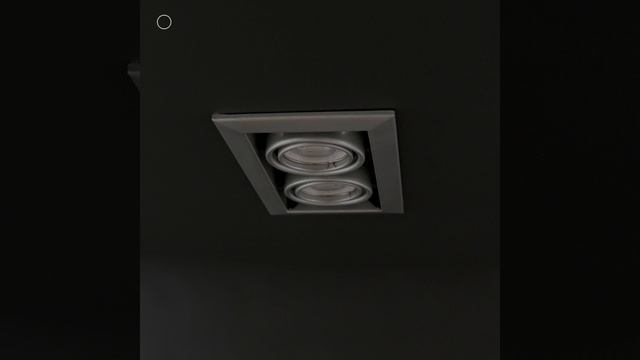 Светильник Maytoni Metal Modern DL008-2-02-S смотреть онлайн