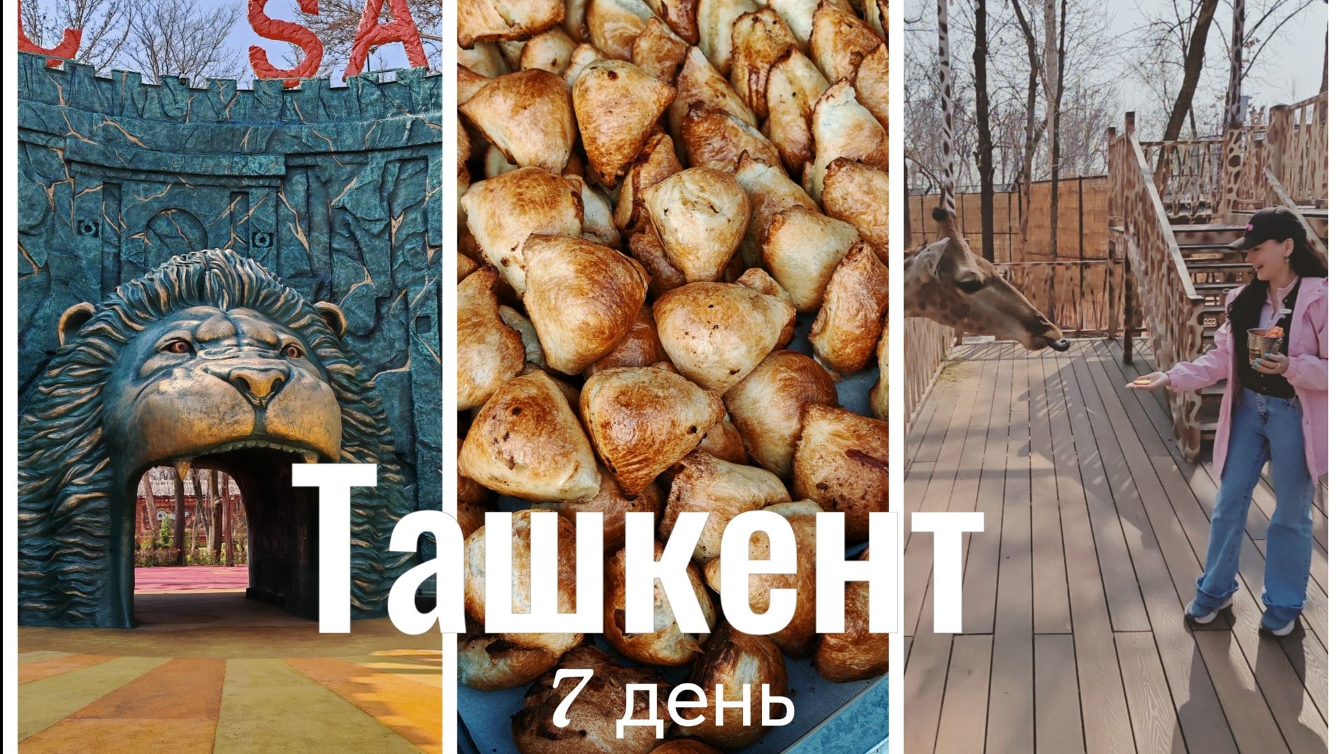 Узбекистан, 7й день, в Ташкенте, 16.03.26. Один день-одно ВИДЕО. Маджик Сафари, Сеул Мун