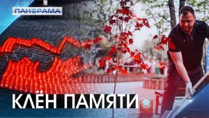 Память, которая пустит корни: в ДНР высадят клёны в местах гибели жителей региона