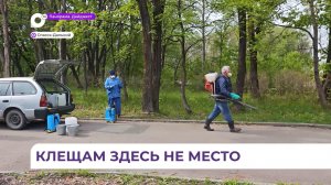 В Спасске-Дальнем обрабатывают против клещей места отдыха горожан