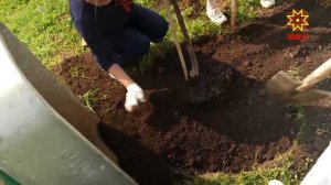В Чебоксарах появится эстетическое пространство в городской среде — «Розовое озеро»