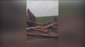 Лесовоз опрокинулся на трассе в Башкирии
