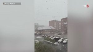 Южные регионы Сибири неожиданно засыпало снегом
