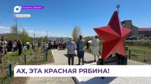 Рябиновую аллею открыли в посёлке Дунай