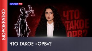 🌟 БЮРОКРАТКО №7 | ЧТО ТАКОЕ «ОРВ»?
