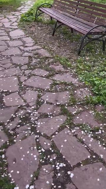 rutube.ru