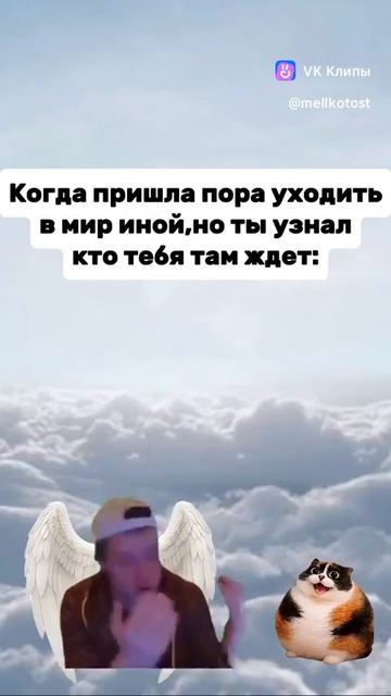 Котость