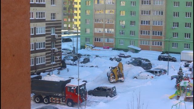 Городская жизнь двора.Рязанская область.17.02.2026.