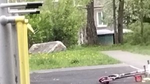 24 часа на спортивной площадке