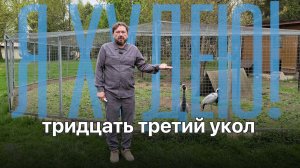 Реально ли похудеть на 15 кг уколами? Мой результат