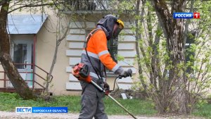 В Кирове подрядчики начали косить газоны