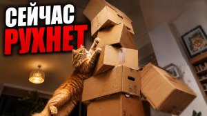 Смех до слёз: лучшие приколы №266