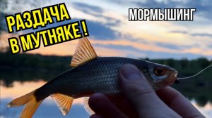 Мормышинг. Вечерка: Ищу ключик к рыбе в мутной воде. Раздача и поклевки