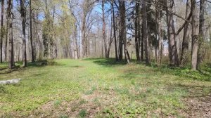 Усадьба в Муромцево (3 часть). Пора менять работу?