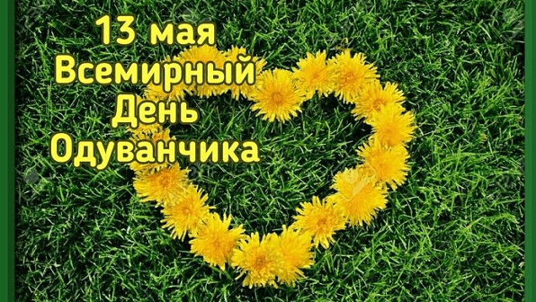 13.05.26 - Всемирный День одуванчика