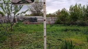 Покос травы на втором участке