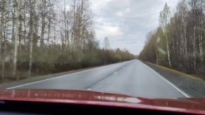 Строительство выгула для новых курочек. 
Встреча с лесными жителями.