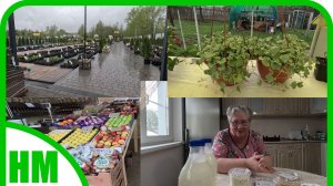 13 мая. Побывали в трёх местах, накупили всякой всячины. Ответ на комментарий.