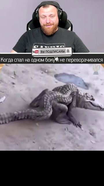 Петренто крокодил смотреть онлайн